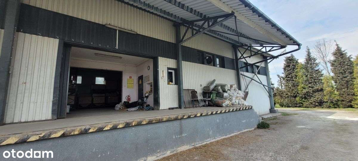Do wynajęcia  hala z biurami Wieliczka, Sułków - Pełny obrazek: 5/20