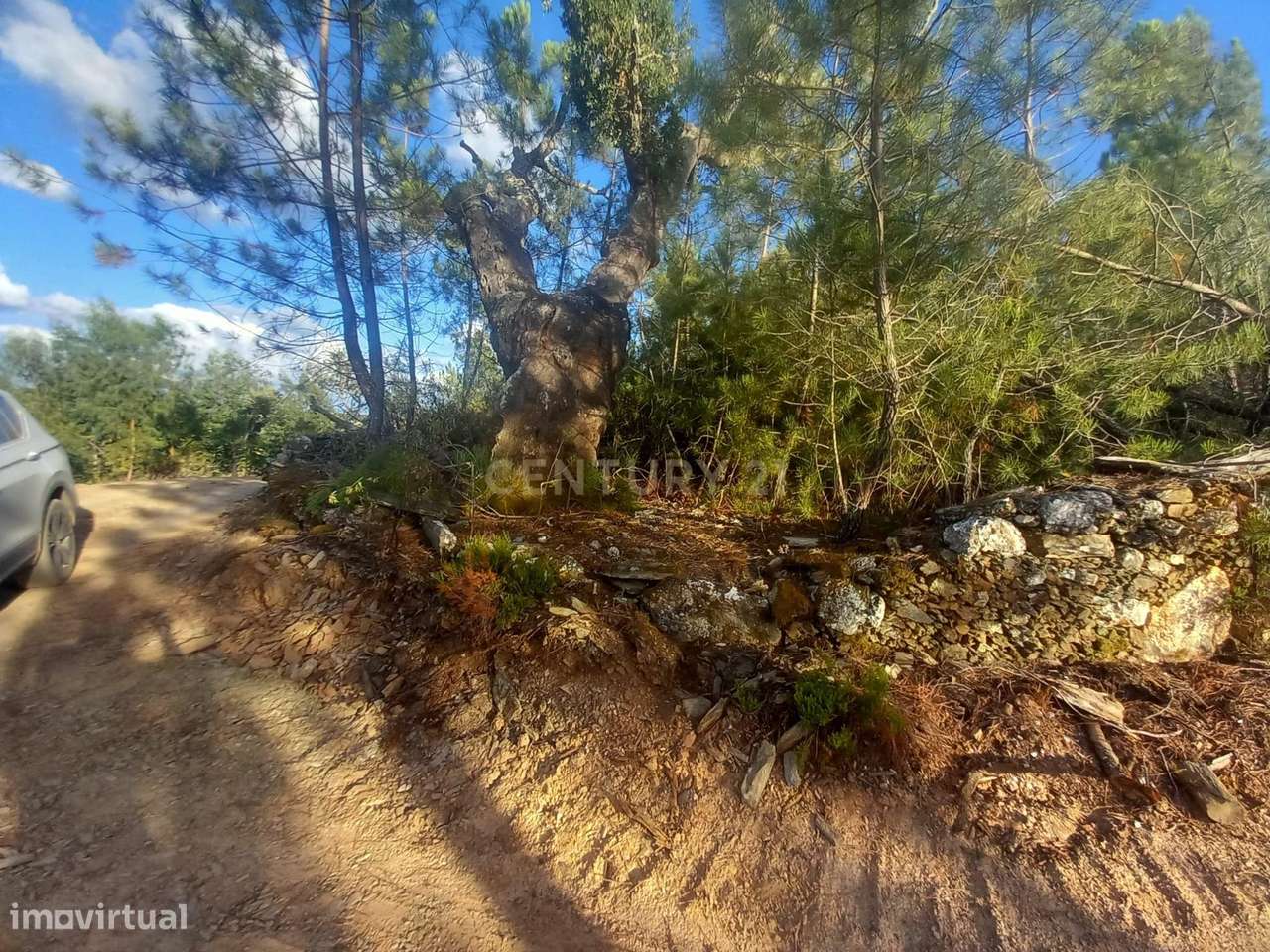 Terreno em Benquerenças, Castelo Branco - 2800m²-5