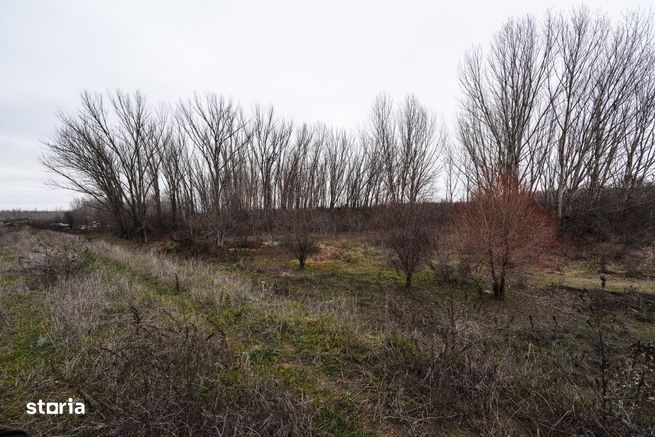 Investitie de viitor! Teren intravilan 8554 mp-Bucovat-7