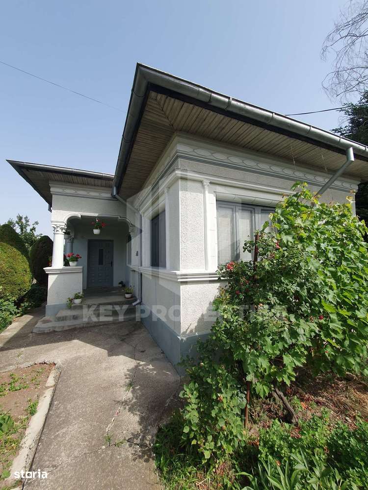 Samurcasi, str. Guliei, casa parter cu teren - 2431 mp-2