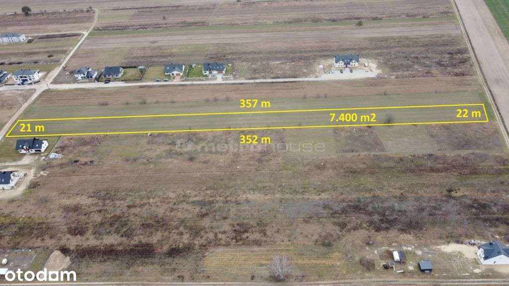 Działka, 7 400 m², Rybienko Stare - Pełny obrazek: 5/6