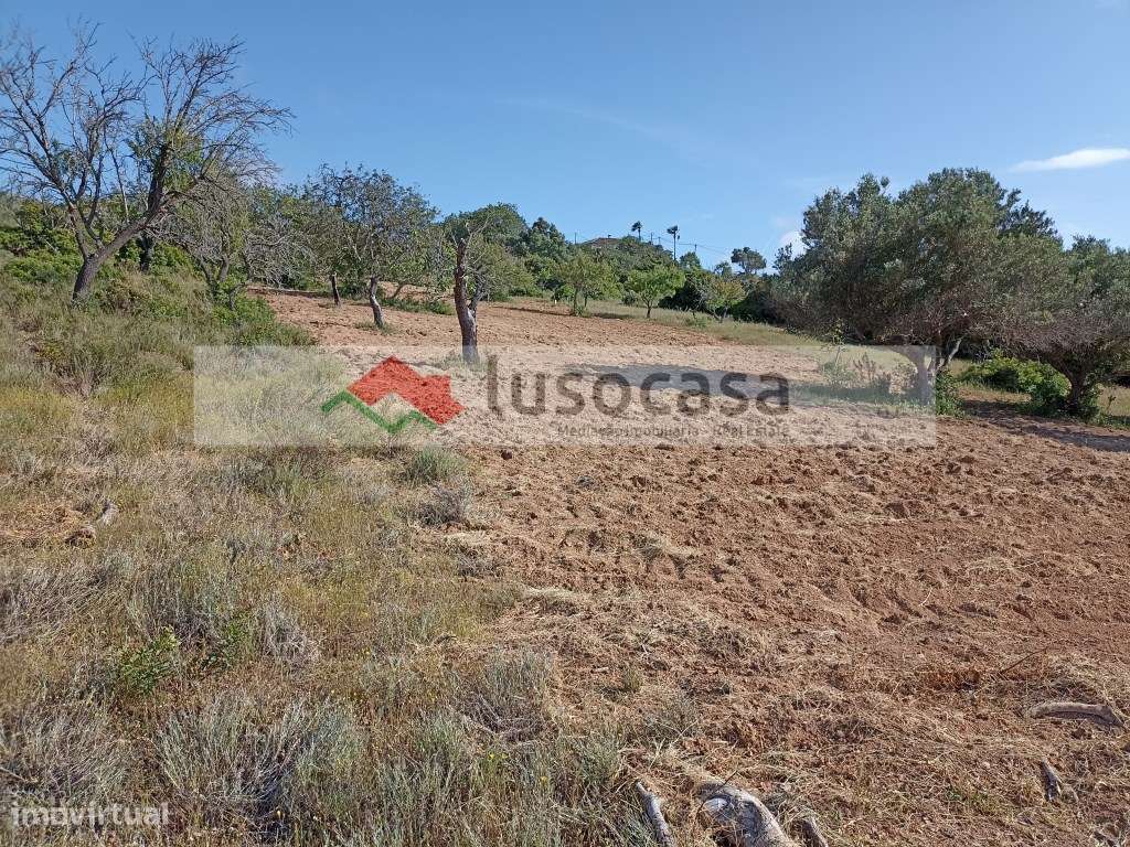 TERRENO RÚSTICO, COM BOM ACESSO E BOA VISTA, A 5 KMS DE lOULÉ, 5 MI... - Grande imagem: 2/3