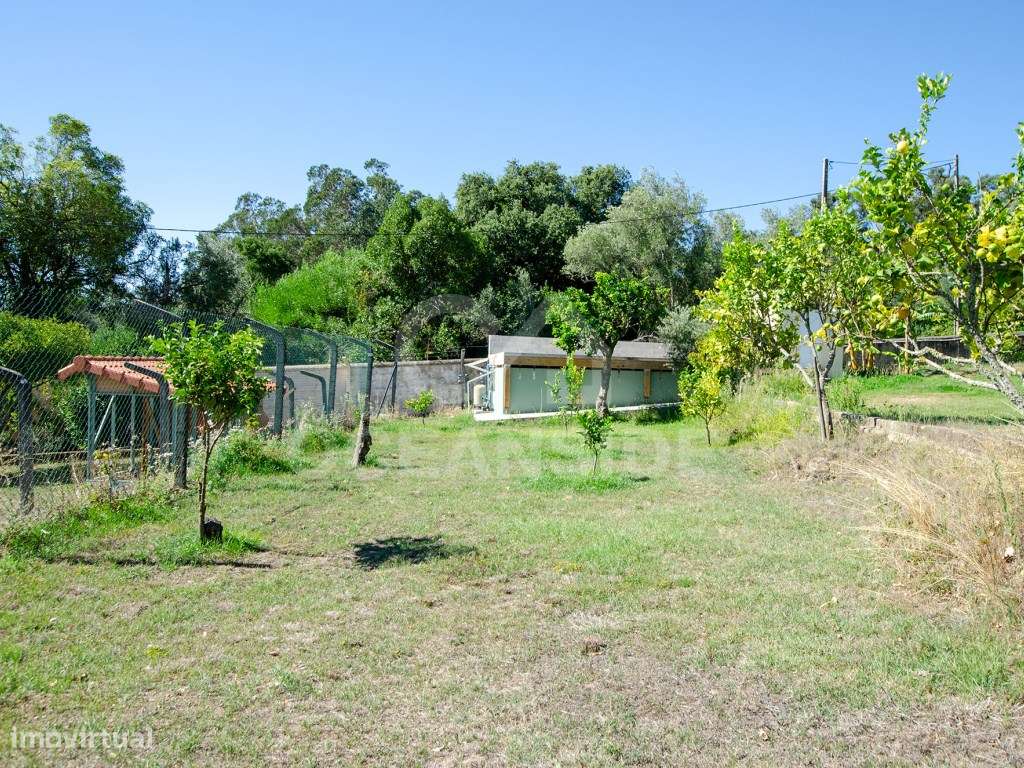Quinta em Serradas, com terreno de 17.000m²-44