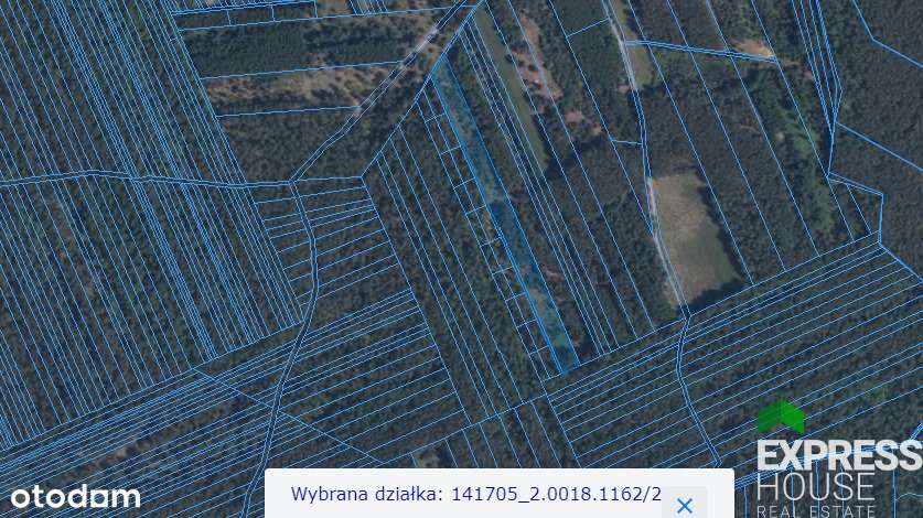 Działka rekreacyjna w otulinie lasu. - Pełny obrazek: 5/5