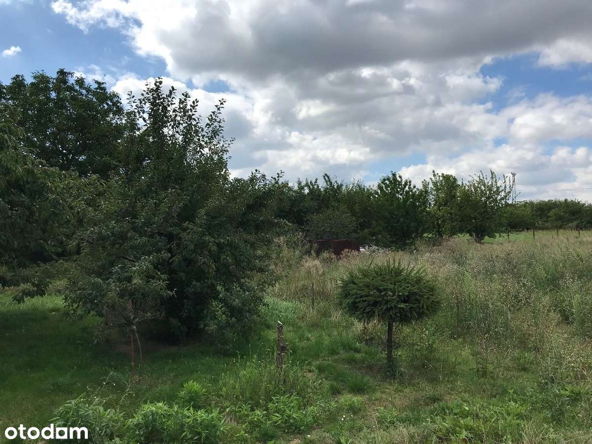 ROKIETNICA | k. Poznania | duża działka budowlana-3