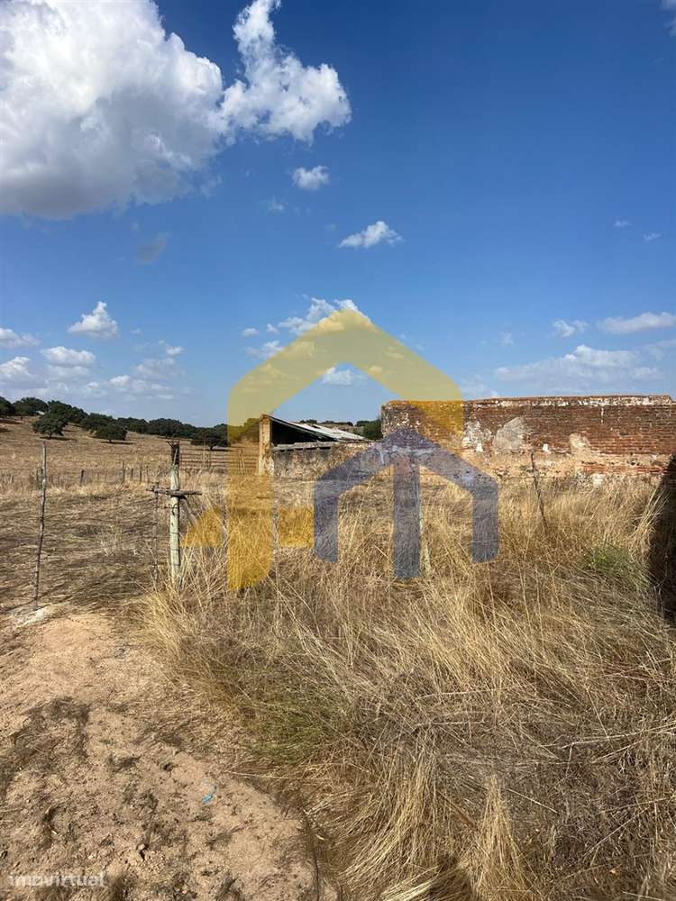 🏡 Quintinha em Monforte-21