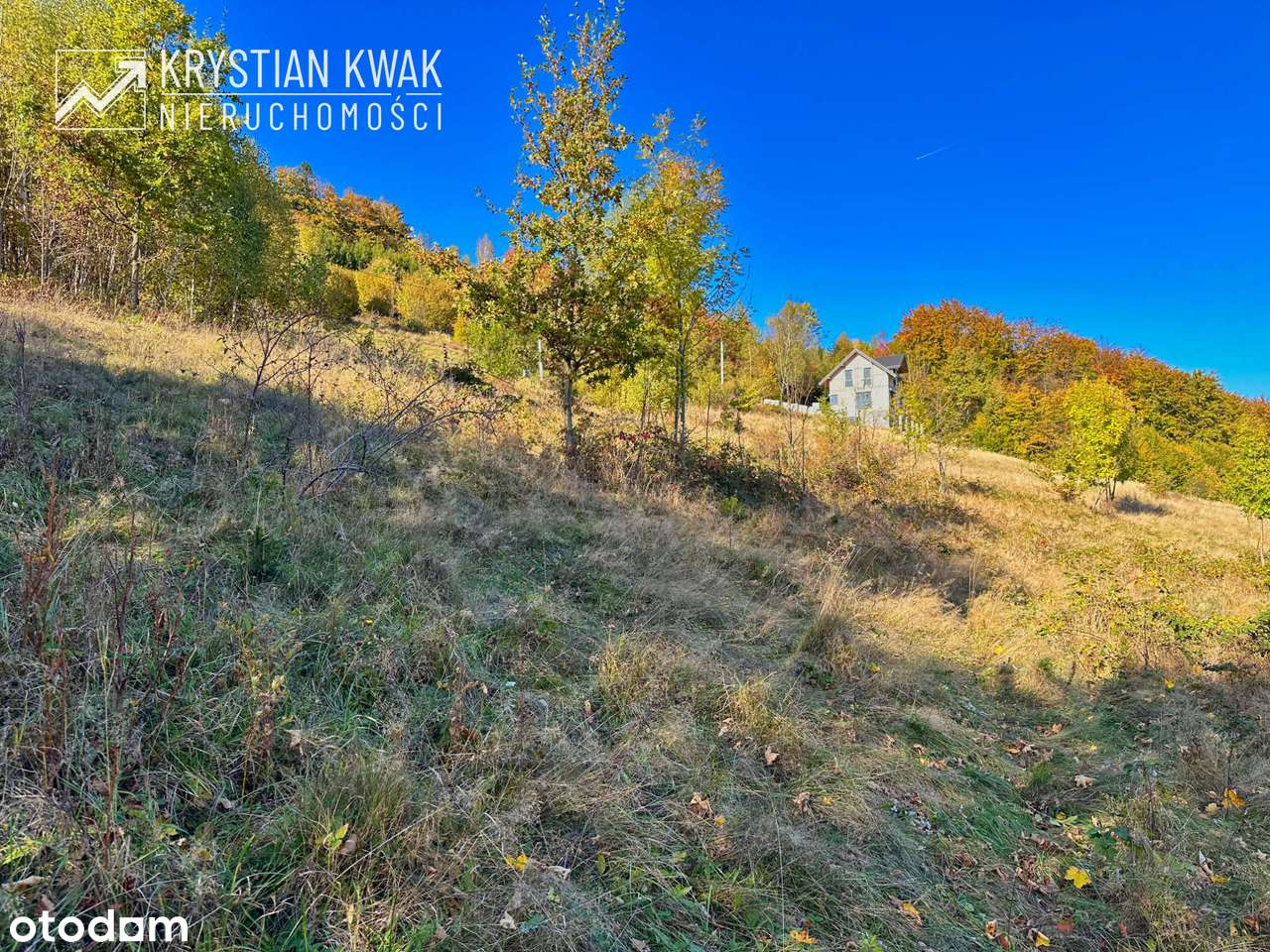 Małe widokowe działki w górach Jeleśnia Janiki-9