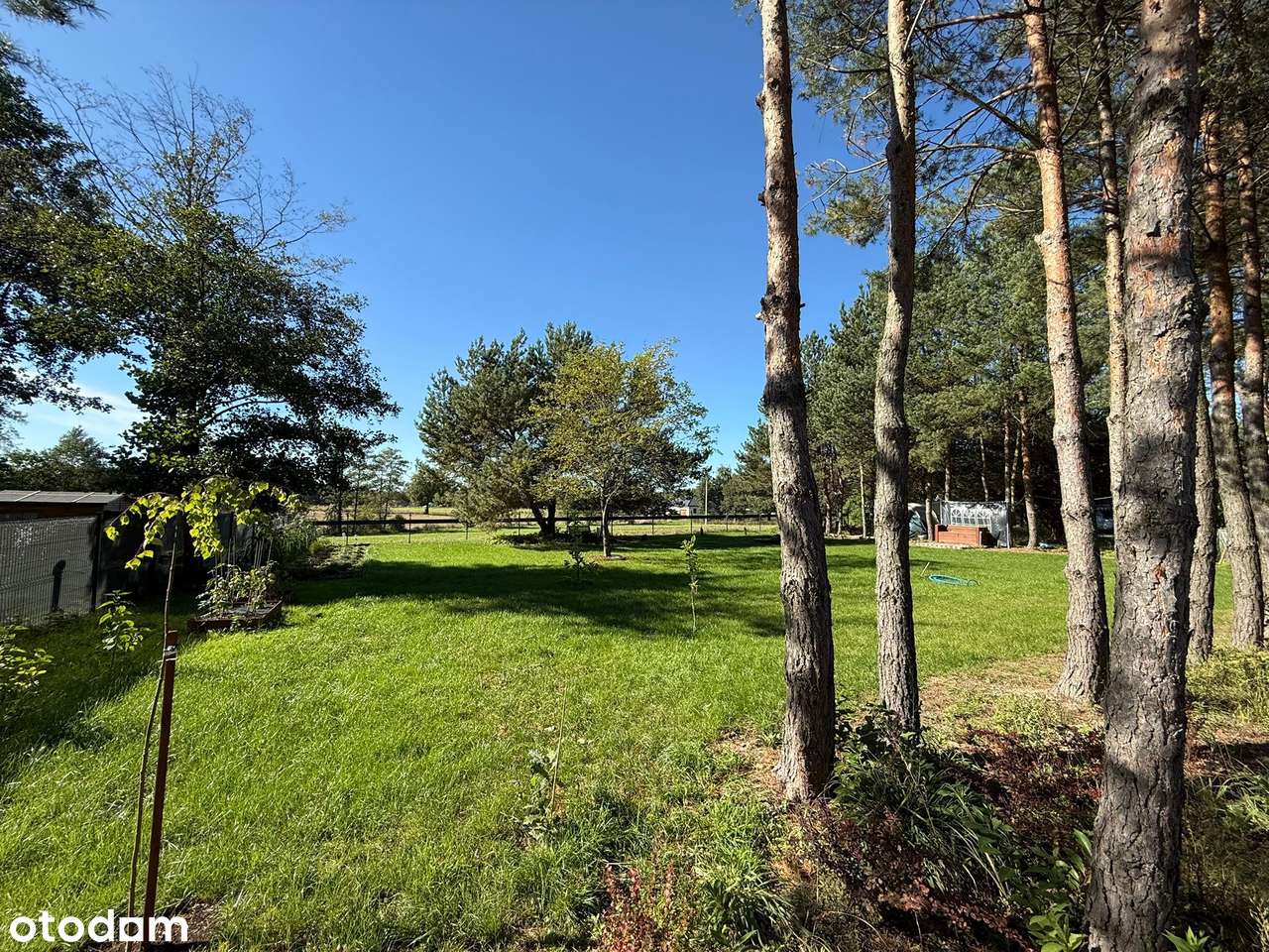 Działka z możliwością zabudowy blisko j. Białe - Pełny obrazek: 5/11