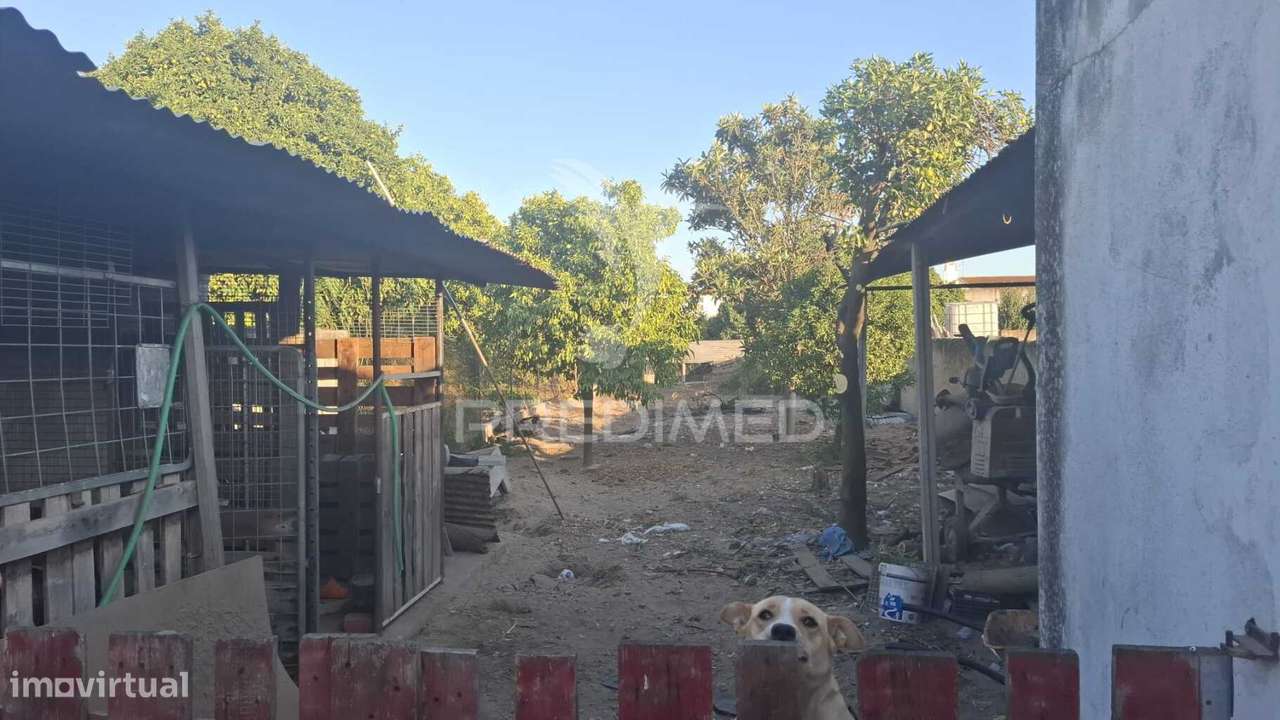 Moradia T3 com garagem e Terreno em Alpiarça, Santarém. - Grande imagem: 4/19