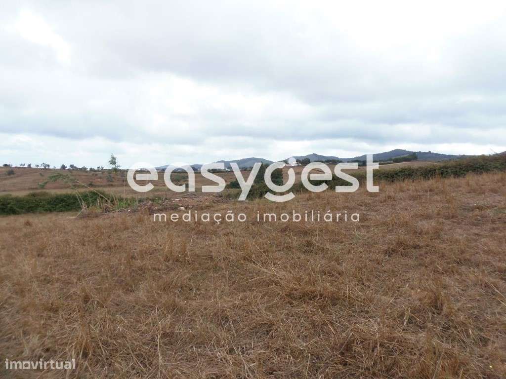 Terreno Rústico no Centro do Cercal do Alentejo - Grande imagem: 5/14