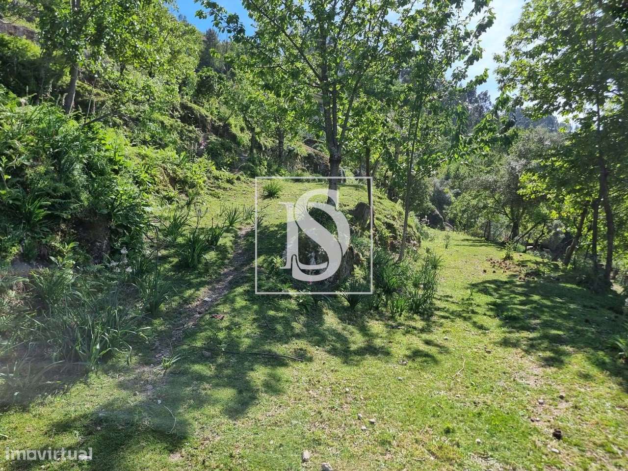 Moradia T3 + Moradia T2 e terreno Vistas Rio - Grande imagem: 4/45