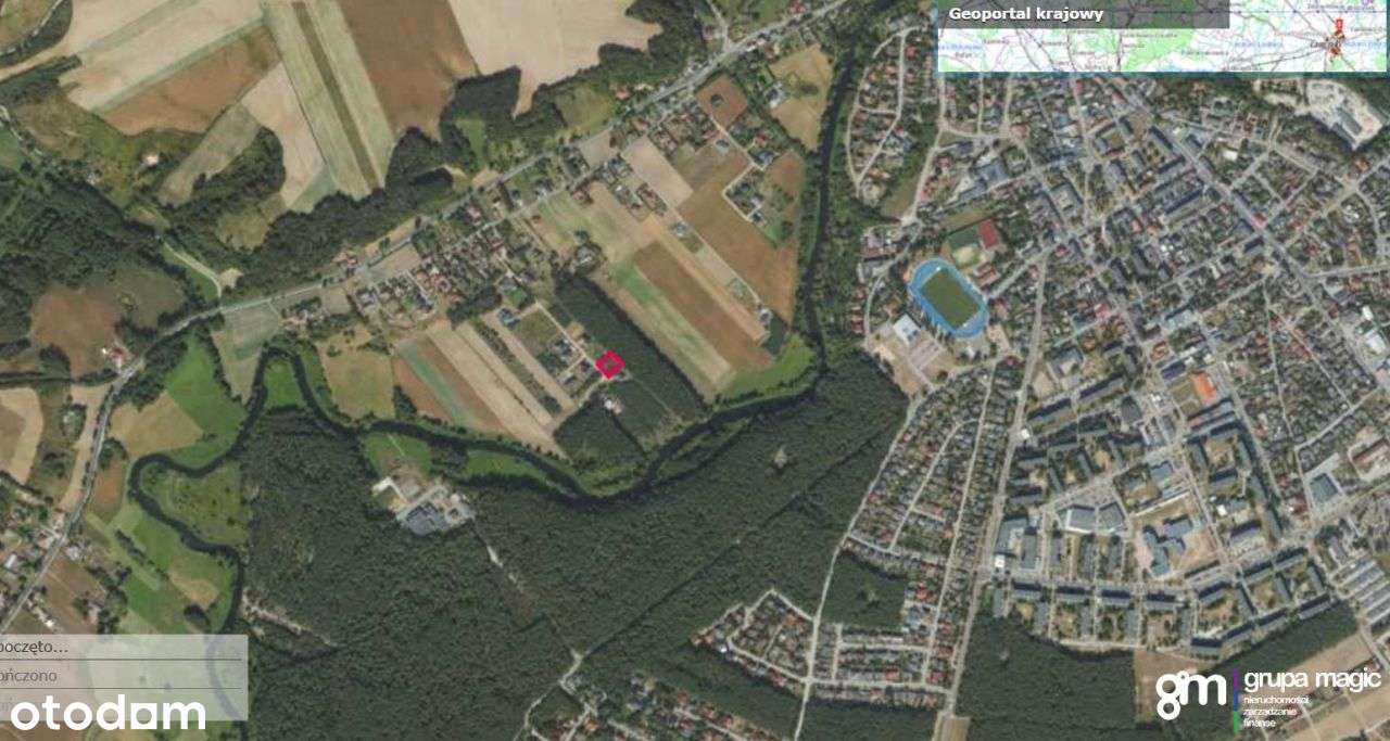 Działka ze ścianą lasu, Podzamek Golubski - Pełny obrazek: 3/15