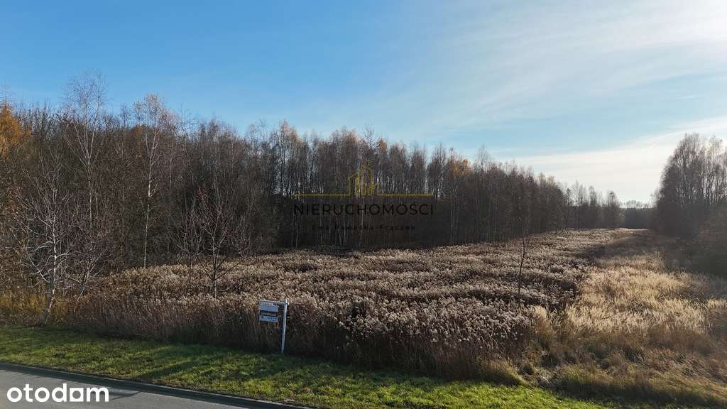 Działki pod budownictwo wielorodzinne- Biłgoraj - Pełny obrazek: 4/13