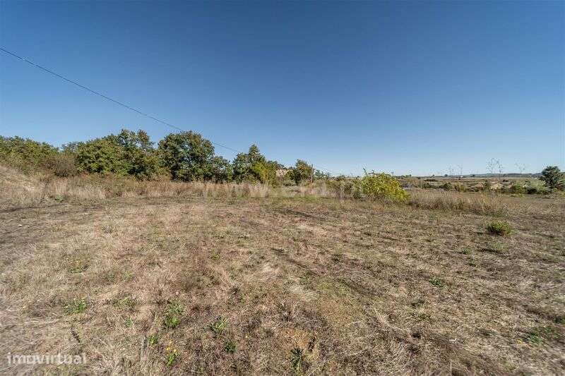 Herdade T6 / Covilhã, Boidobra-11