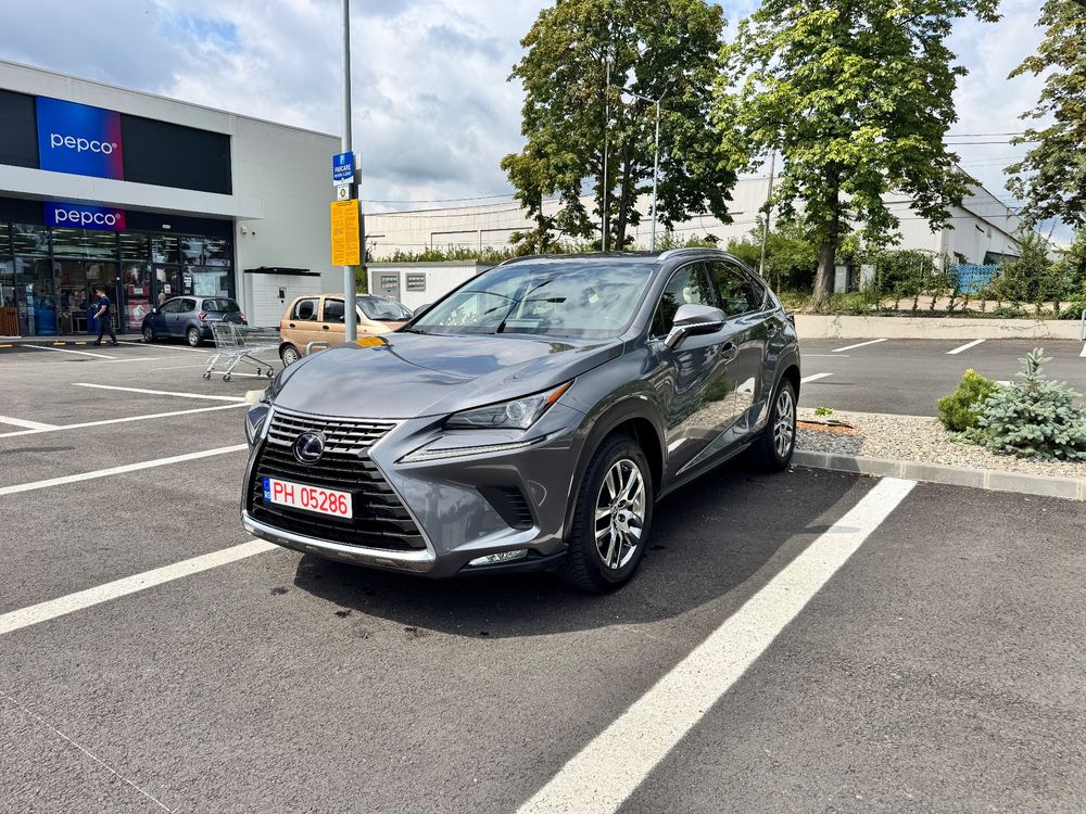 Lexus NX I [2014 - 2021] 2020