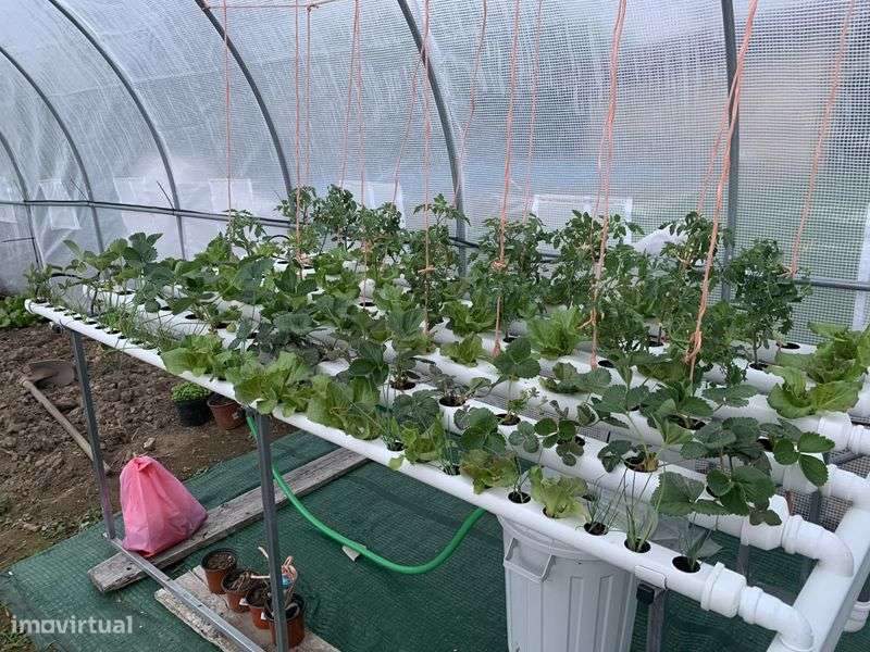 Cantinho no Paraiso!! - Grande imagem: 5/8