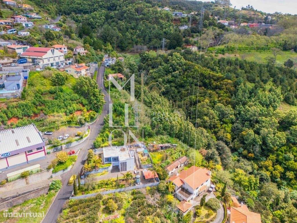 Exclusividade e Elegância no Palheiro Ferreiro – Madeira - Grande imagem: 4/17