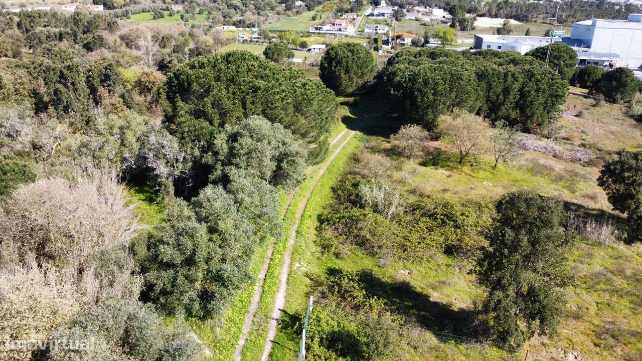 Apresento terreno agrícola, no Cartaxo com área total de 12 200 m2-7