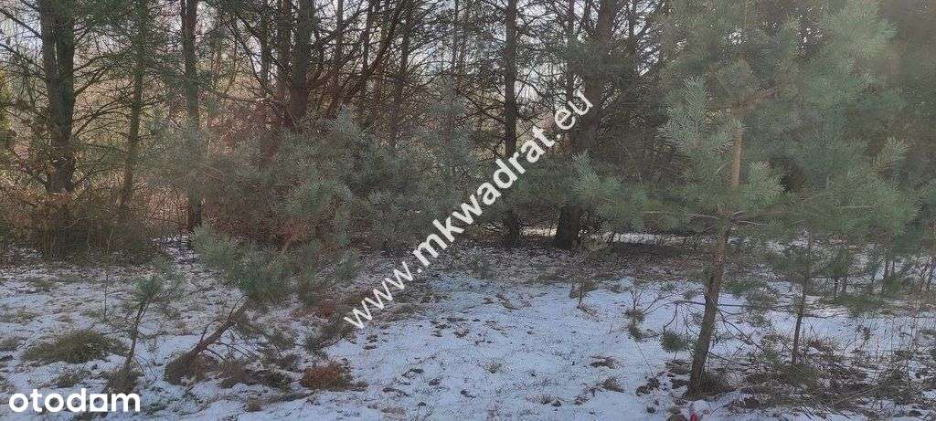 ⭐⭐⭐⭐⭐ Ładna zalesiona działka z Mpzp ⭐⭐⭐⭐⭐-1