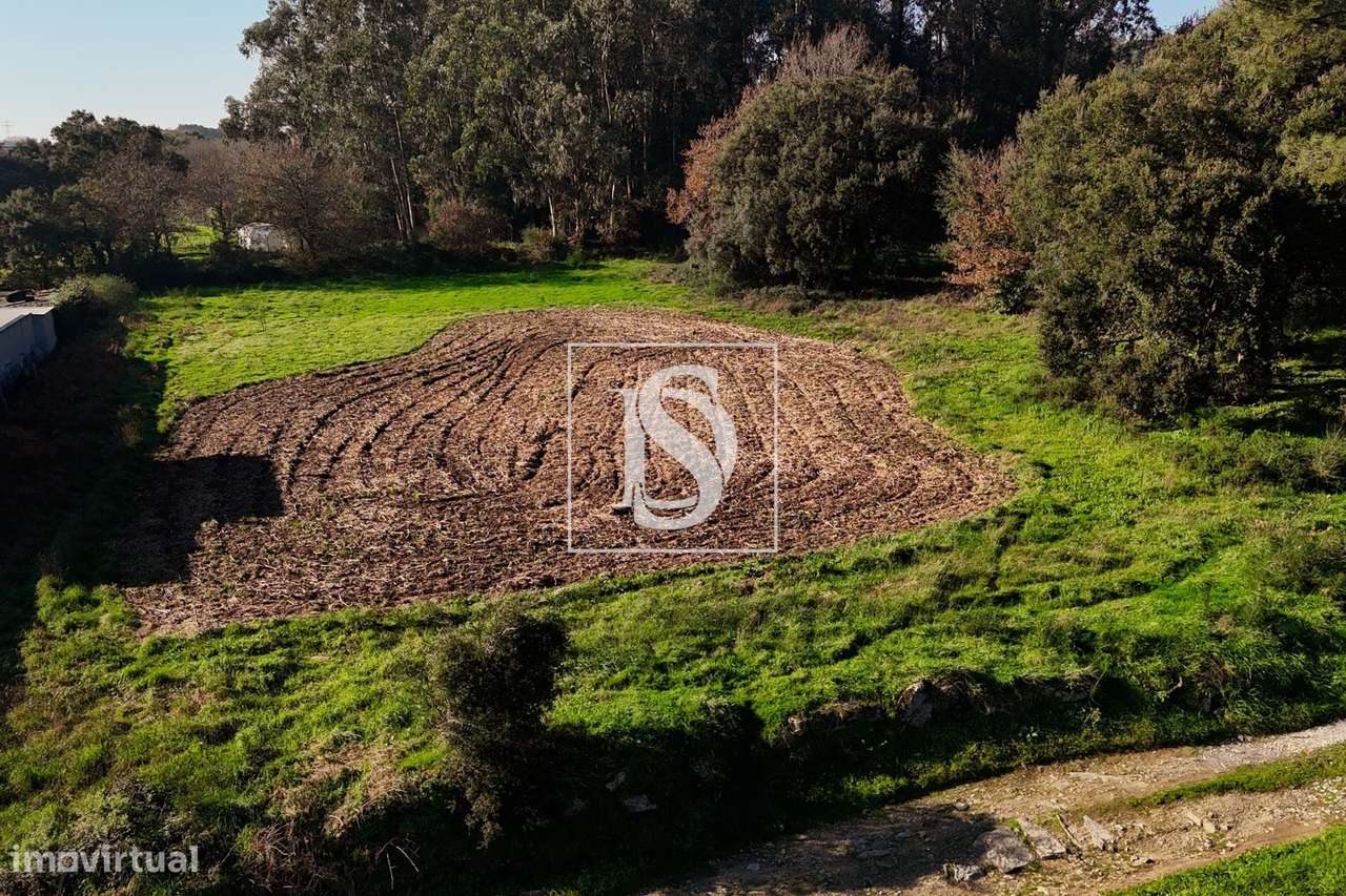 Terreno para construção em Galegos S. Martinho, Barcelos - Grande imagem: 4/14