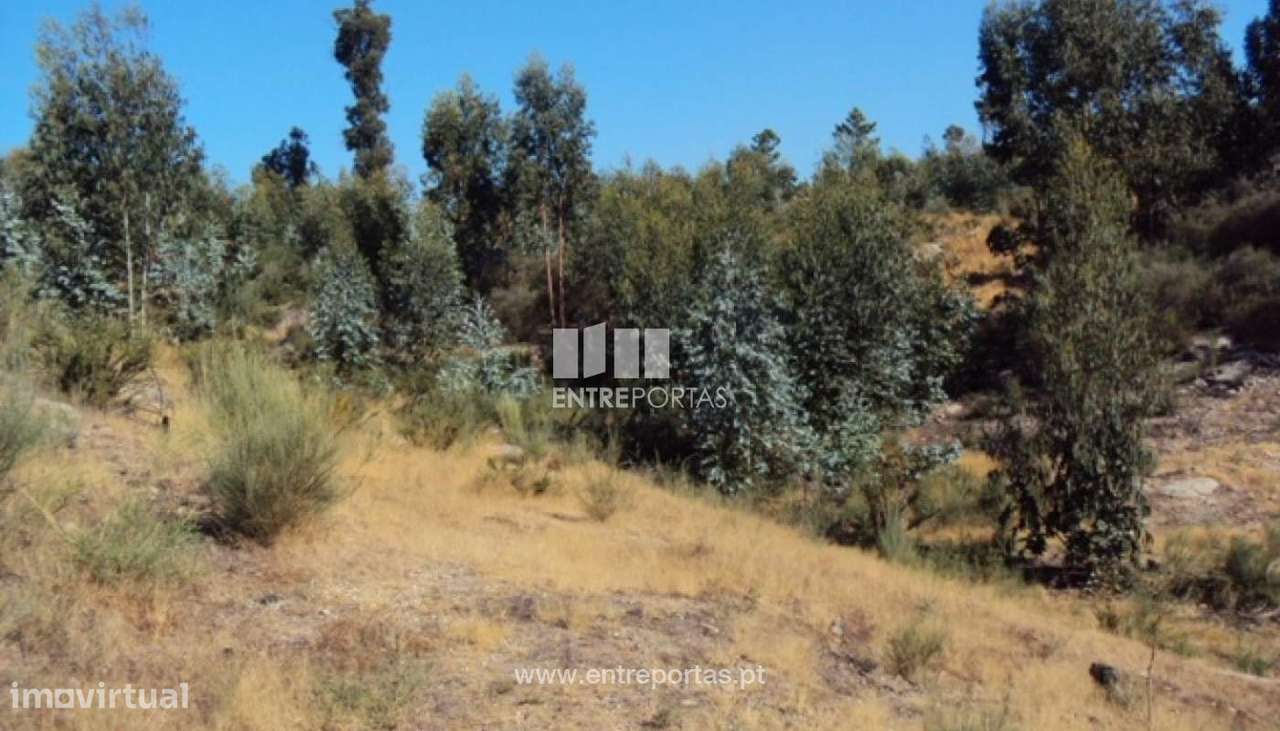 Venda Terreno, Vila Boa de Quires, Marco de Canaveses - Grande imagem: 4/10