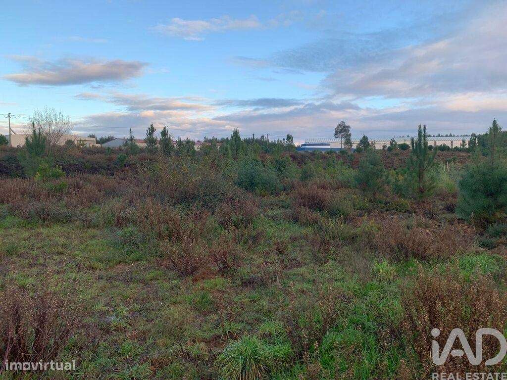 Casa / Villa T3 em Pedrógão Grande de 216 m2 - Grande imagem: 4/29