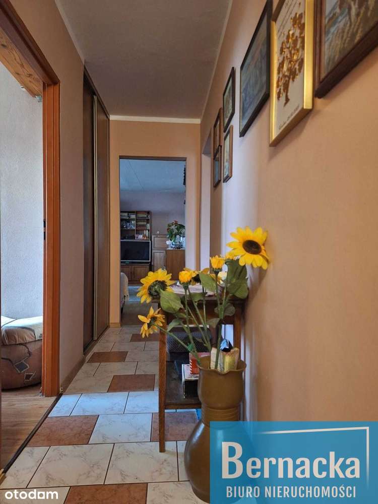 4-pokojowe, rozkładowe, blisko Parku-7