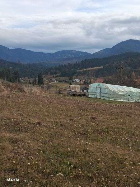 Vand teren colibibita mita - Imagine principală: 5/8