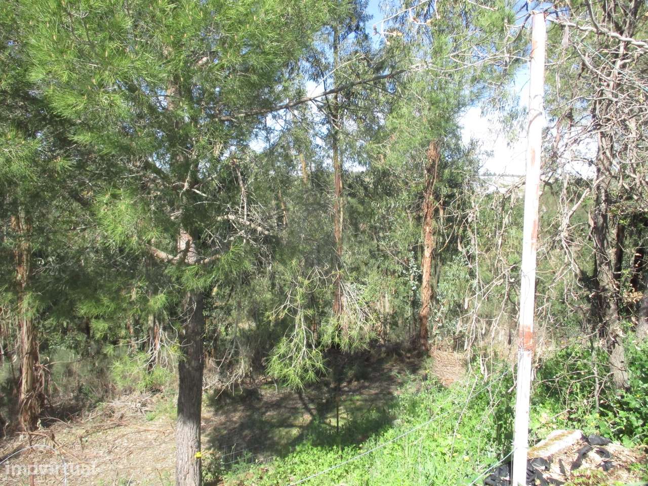 Quinta T0 Venda em Castelo Branco,Castelo Branco-12