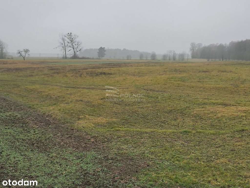 Ziemia rolna o pow. 3,9 Ha w gminie Terespol-8