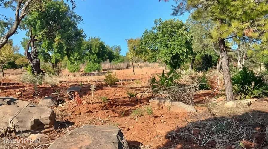 Terreno rústico plano com 4240 m2 no Algarve-8