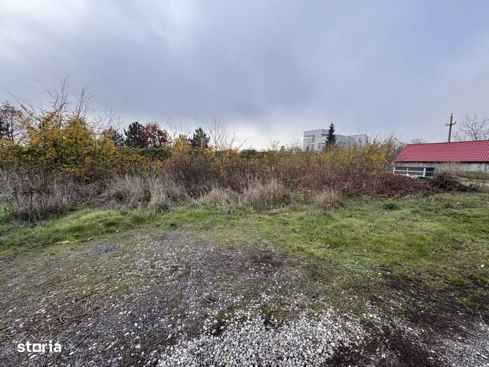 Teren deosebit in Branesti sat Pasarea ! - Imagine principală: 4/12