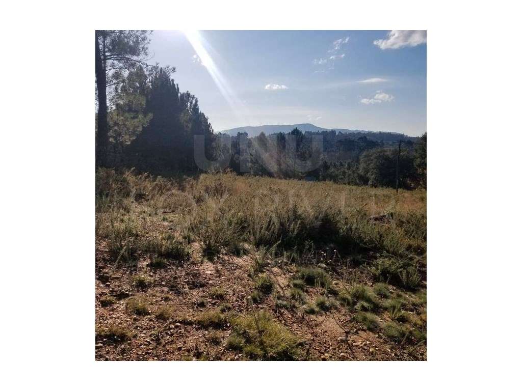 Terreno para Construção em Cerdal, Valença - Grande imagem: 4/5