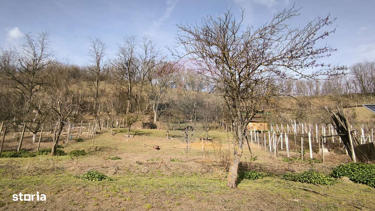 Casă  la țară in Transilvania - sat sasesc Păucea, jud. Sibiu-9