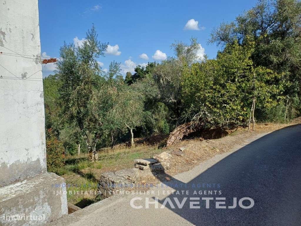 Casa de pedra para renovar, com terreno e furo. - Grande imagem: 5/49