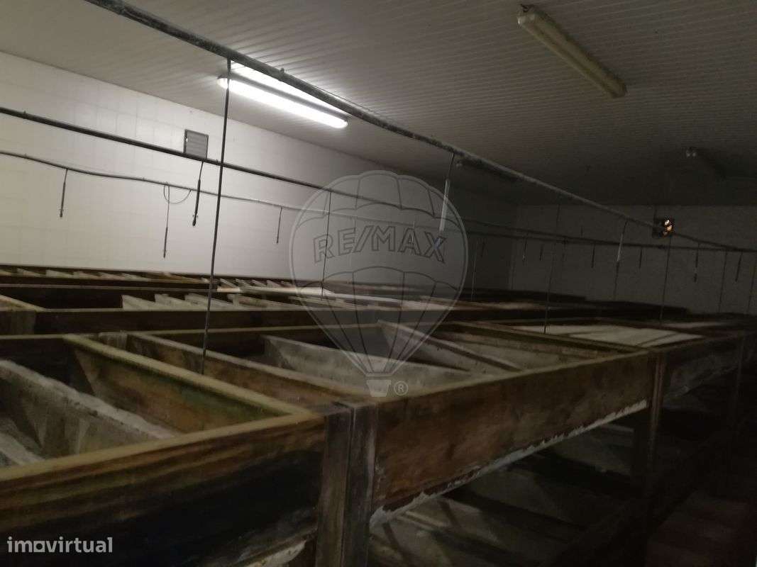 Terreno  para venda - Grande imagem: 4/20