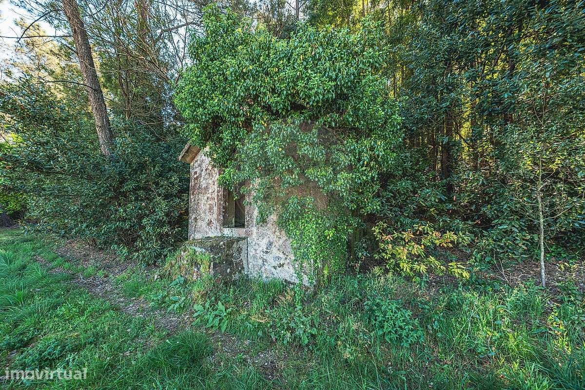 Moradia T4 para venda-5