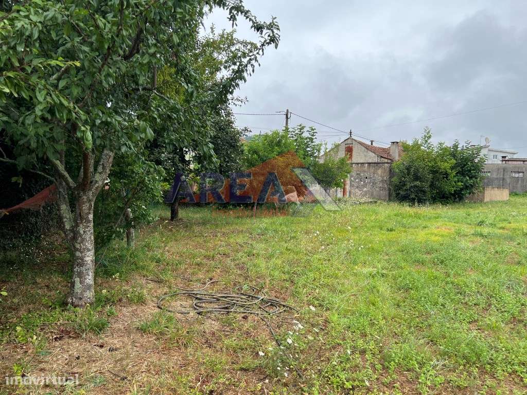 Oportunidade: 2 casas + artigo rústico com 2,0648 ha, perto de Oliv...-20