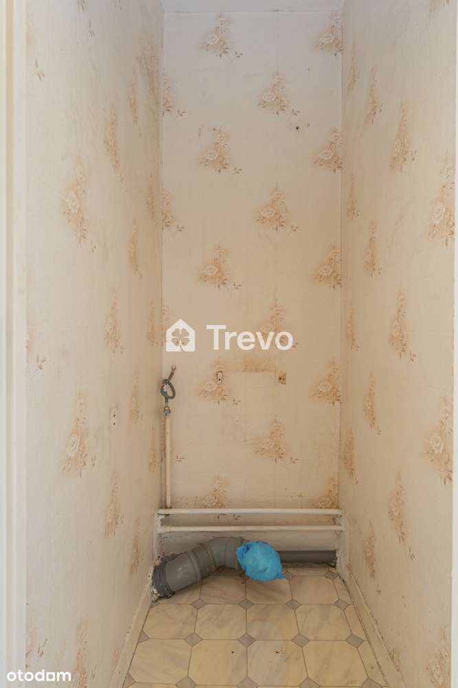 3min pieszo do tramwaju | Morena | Od zaraz-14