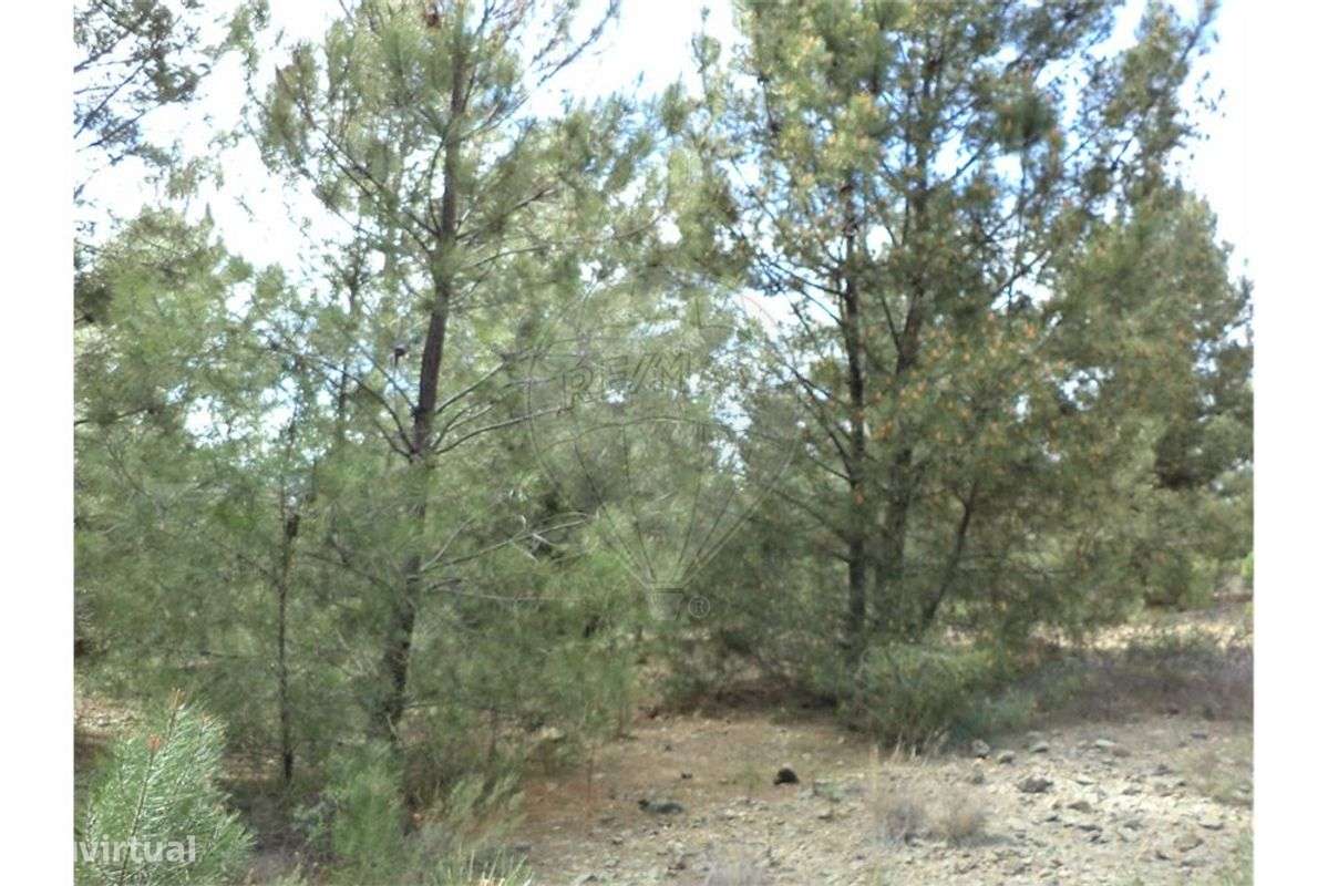 Quinta T0 para venda - Grande imagem: 4/24