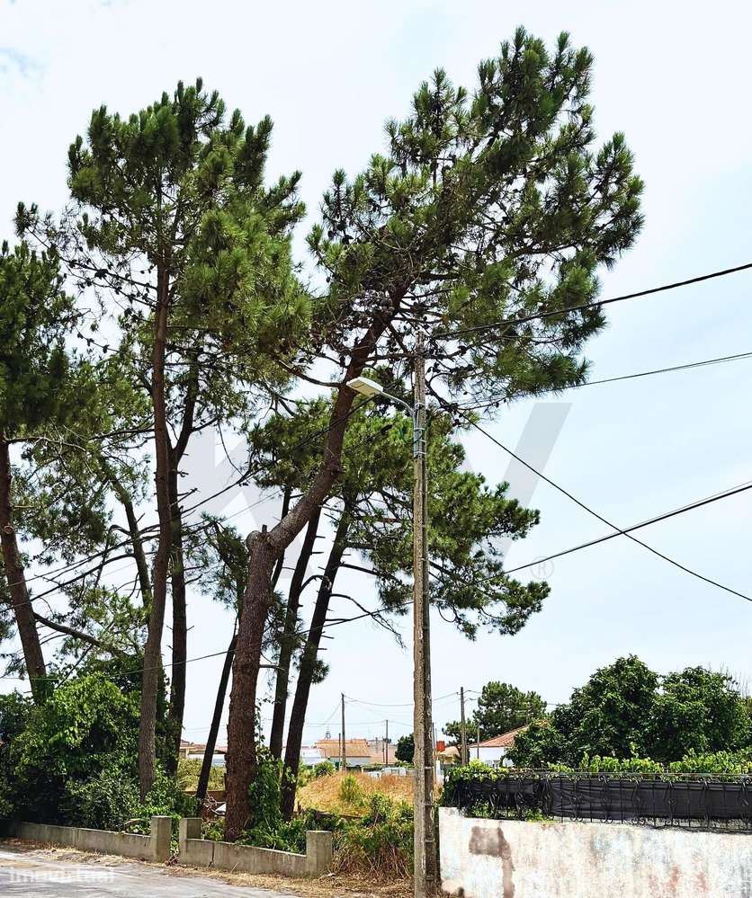 Terreno para construção no Casal do Sapo (Quinta do Conde / Fernão Fer - Grande imagem: 5/15