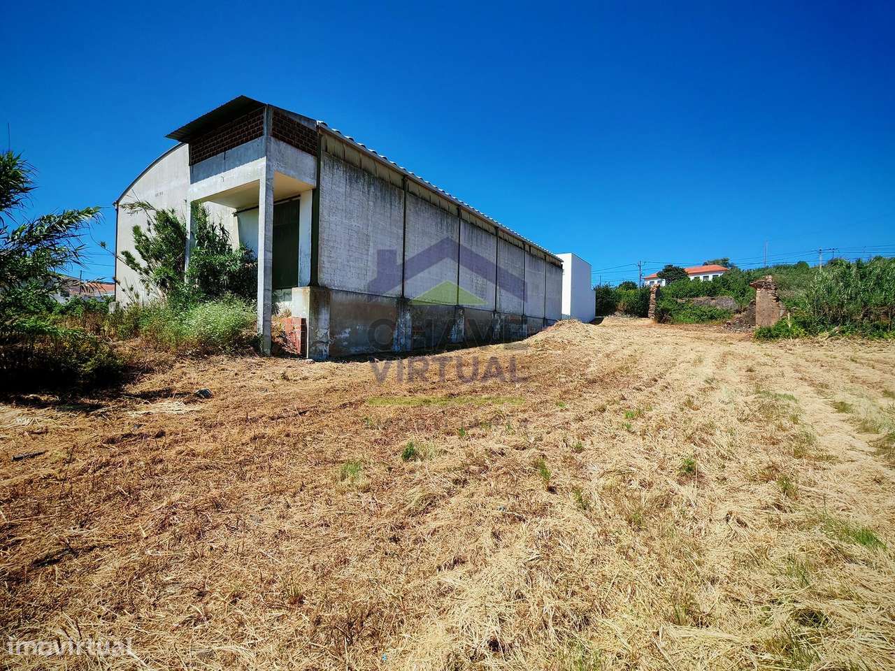 Terreno para Construção Delgada - Bombarral-7