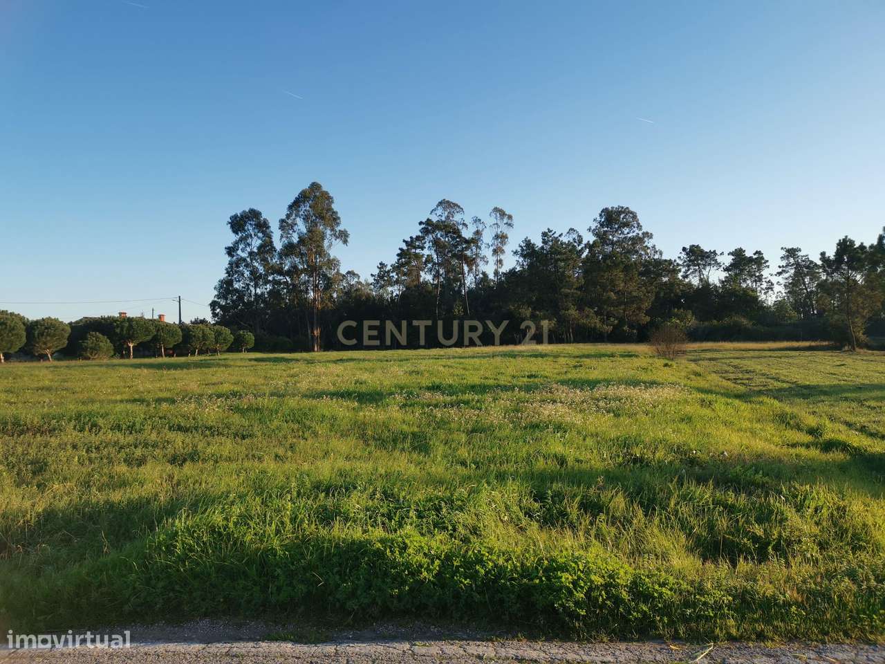 Terreno Rústico em Catarruchos - Arazede - Grande imagem: 5/18