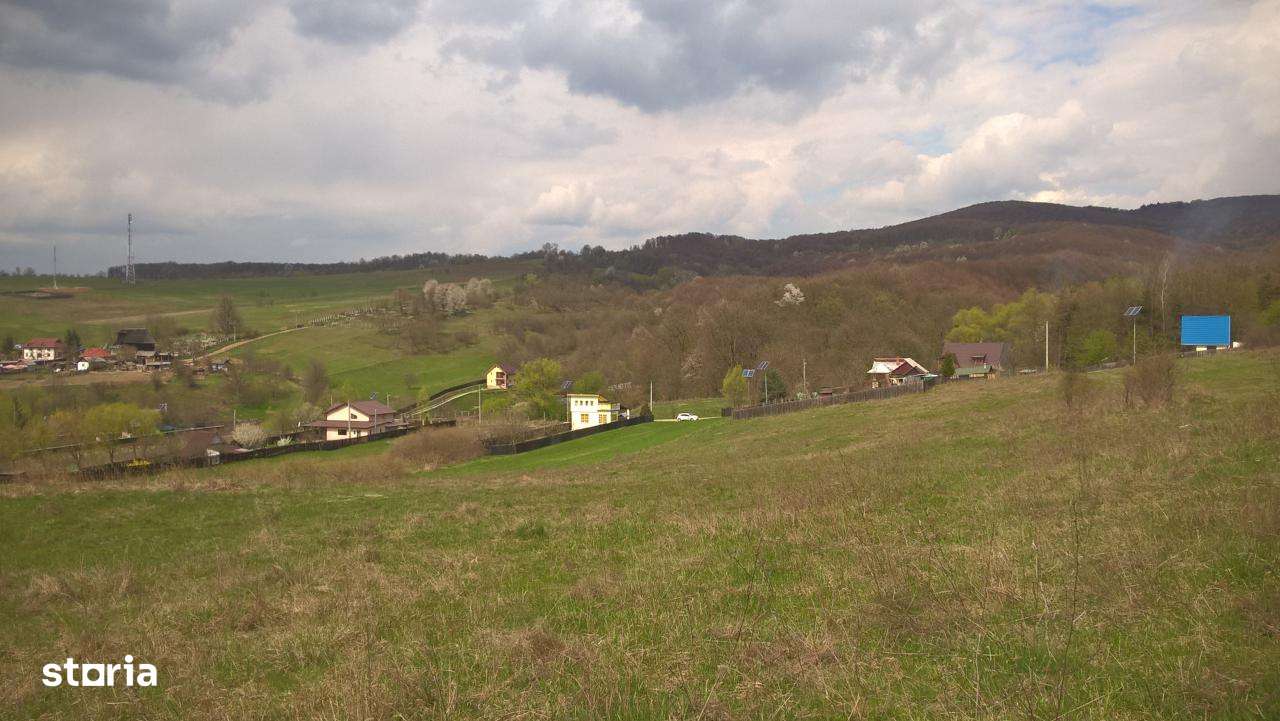 Vanzare teren Luncani, Bacau-8