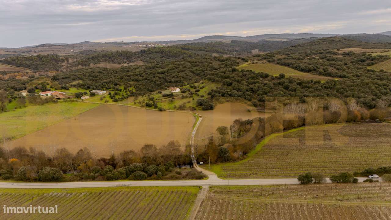 Quinta do Arieiro - Cedovim | Vila Nova de Foz Côa | Douro Superior-6
