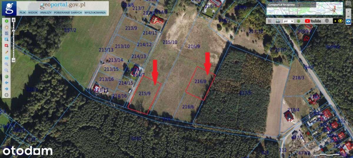 Zamieszkaj przy samym lesie w Zamku Bierzgłowskim - Pełny obrazek: 4/13