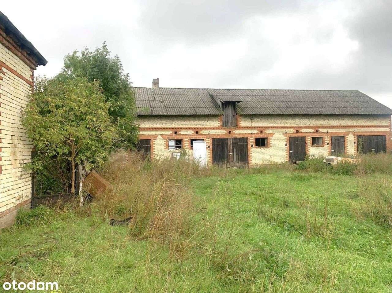 siedlisko na srzedaż gm Uniejów woj łódzkie - Pełny obrazek: 4/16