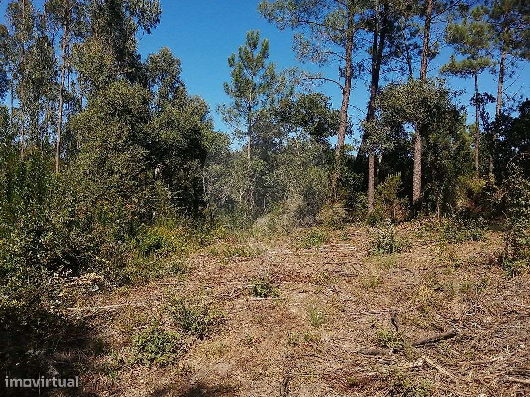 Terreno  para venda - Grande imagem: 2/3