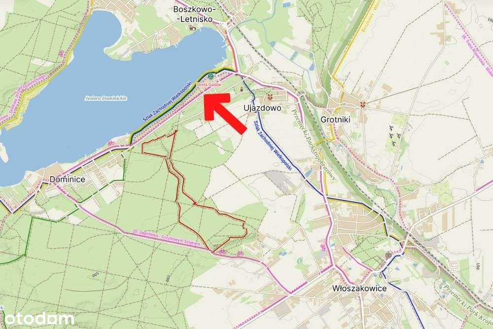 Nieruchomość inwestycyjna w sercu Boszkowa-19