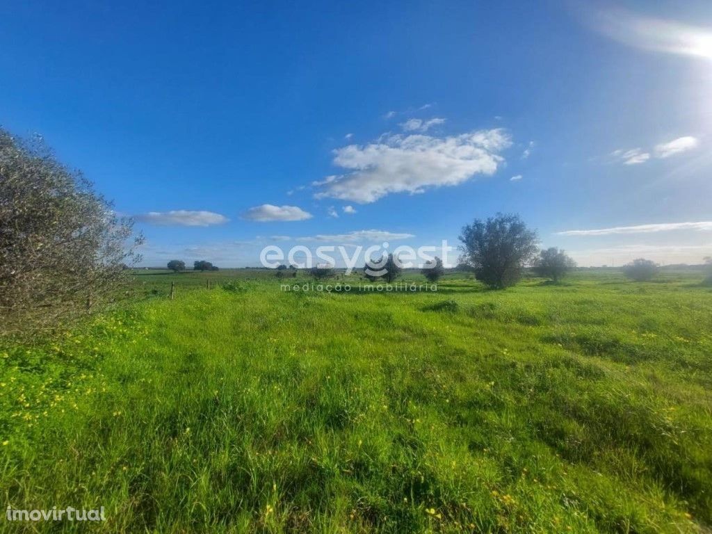 Terreno Rústico com 59.000m2 localizado na freguesia de O...